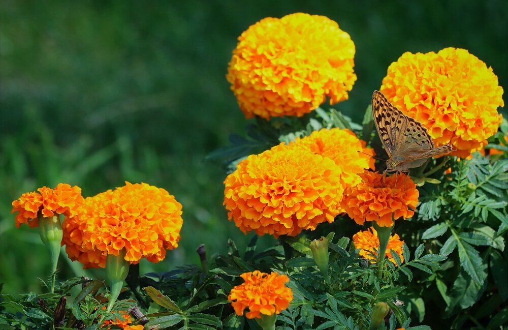 Photograph by Мария Толкачёва