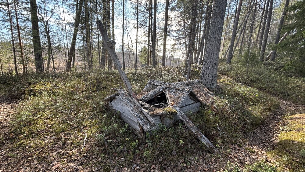 Photograph by ЮЛИЯ СУЛИМОВА