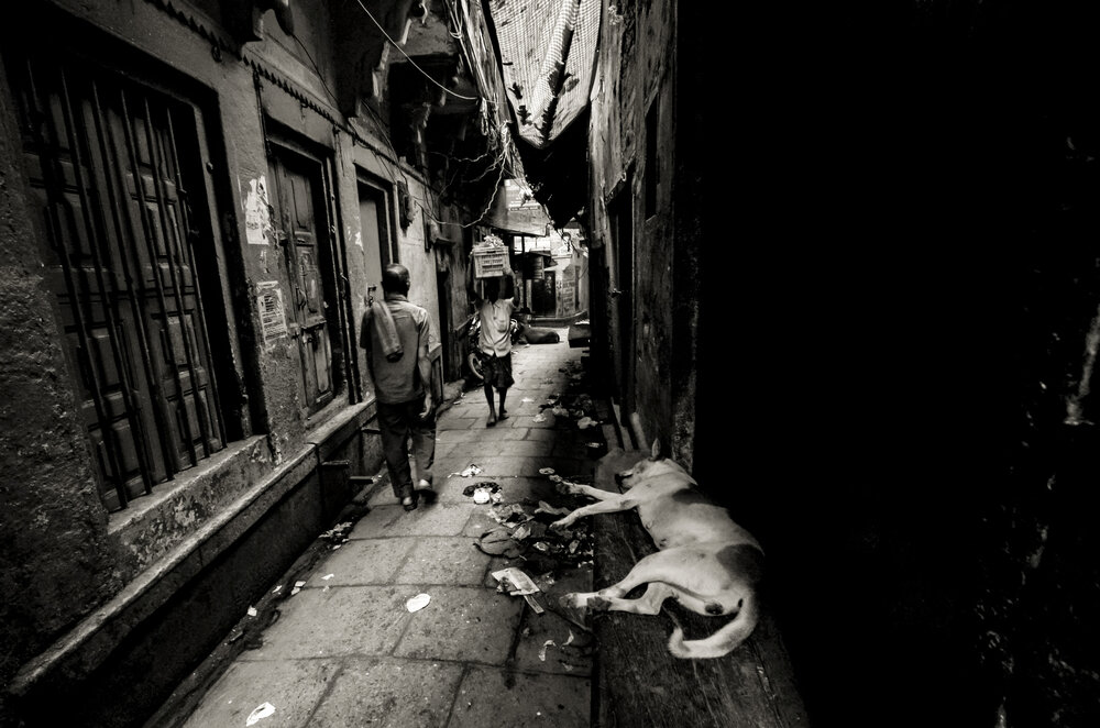 Dark Lane
