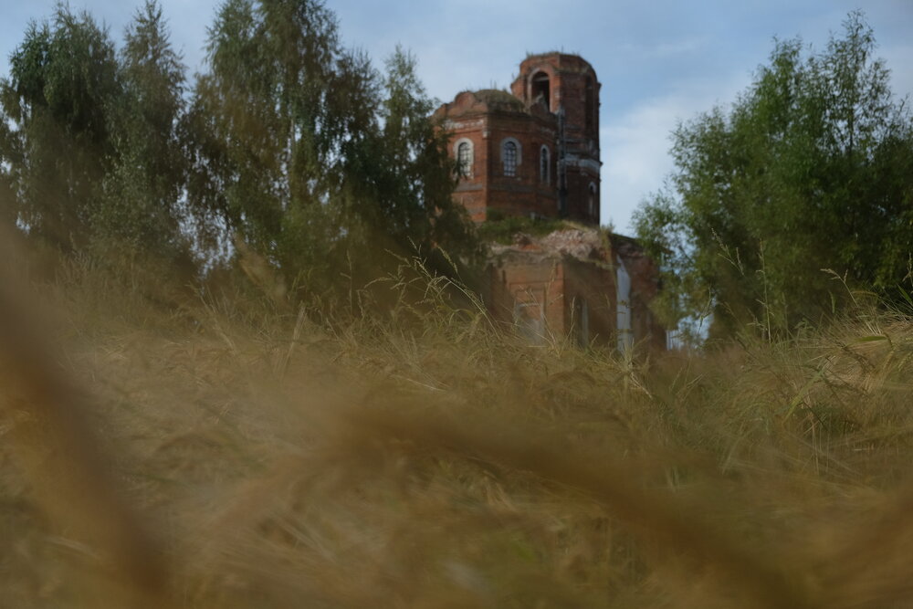 Photograph by МИлодия Осенняя