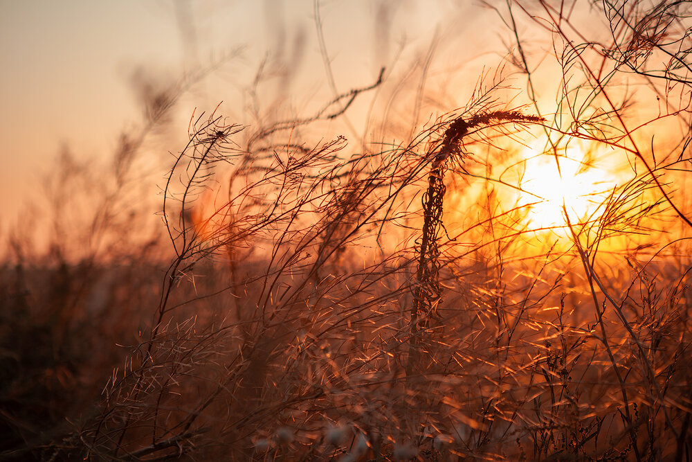Photograph by Волкова Анна