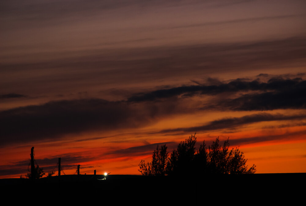 Photograph by Алина