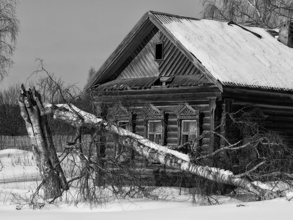 Photograph by Владимир Перепечаев