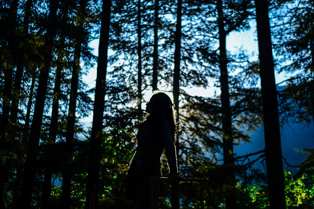 Mystical Forest Silhouette | A Moment of Peace in Nature
