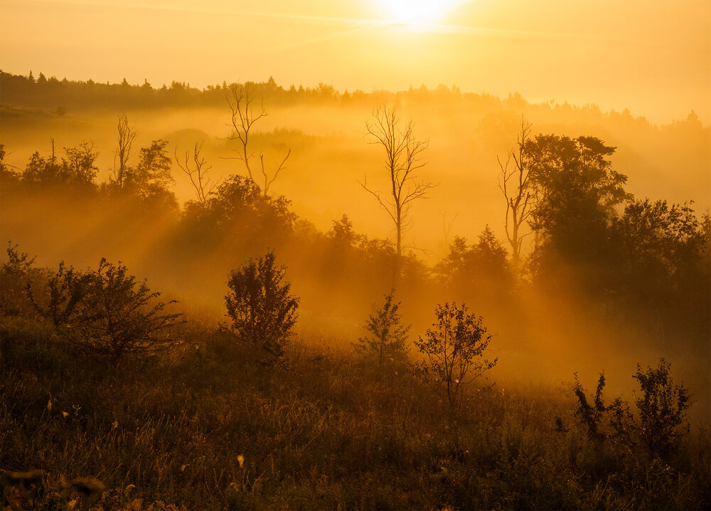 Photograph by Марина Брыдня