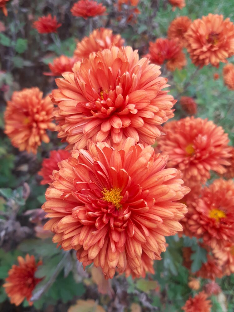 Photograph by Галина Глазкова