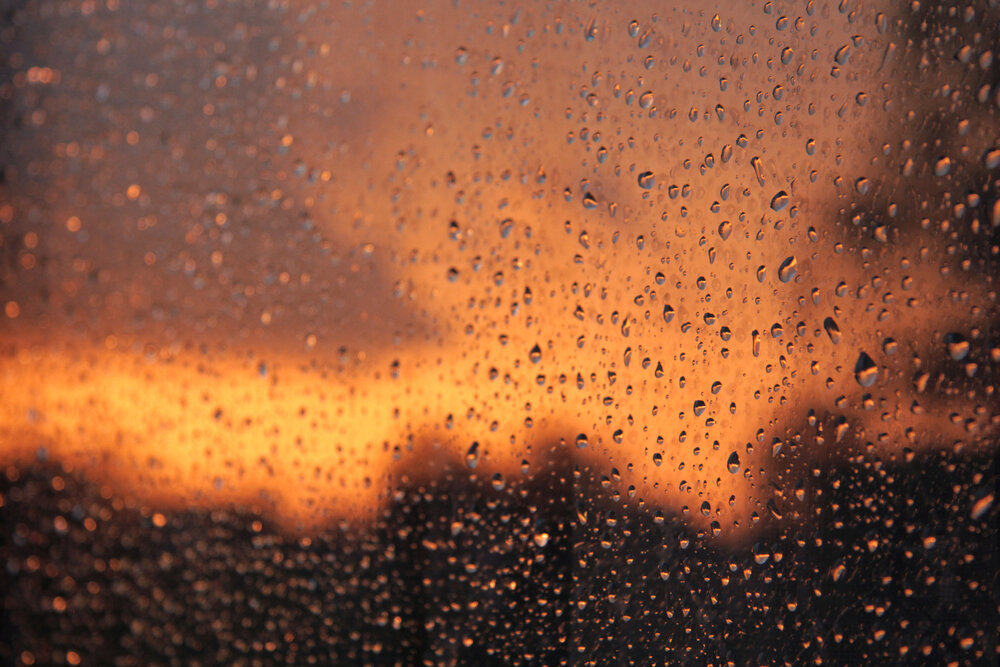 Photo #13978243