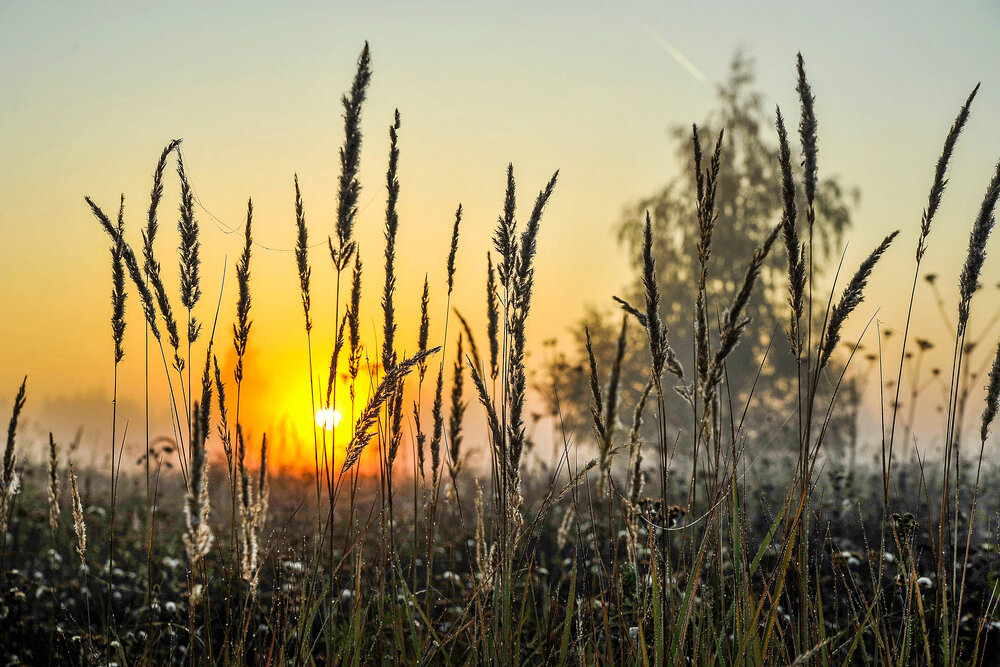 Photograph by Cергей Абакумов