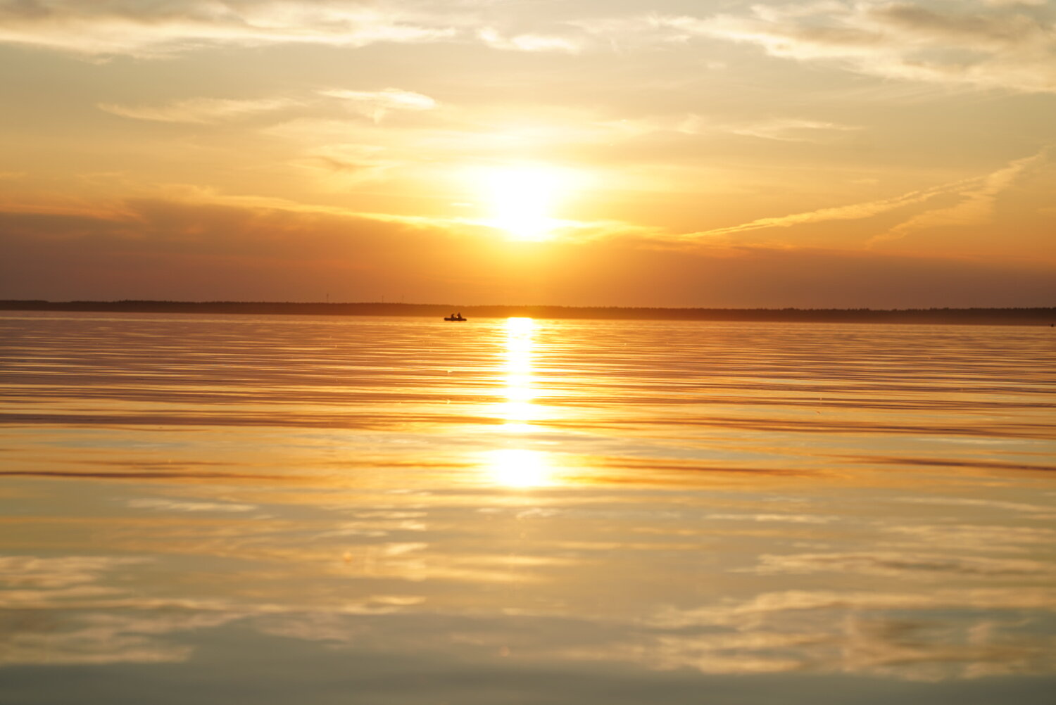 Photo #13978300