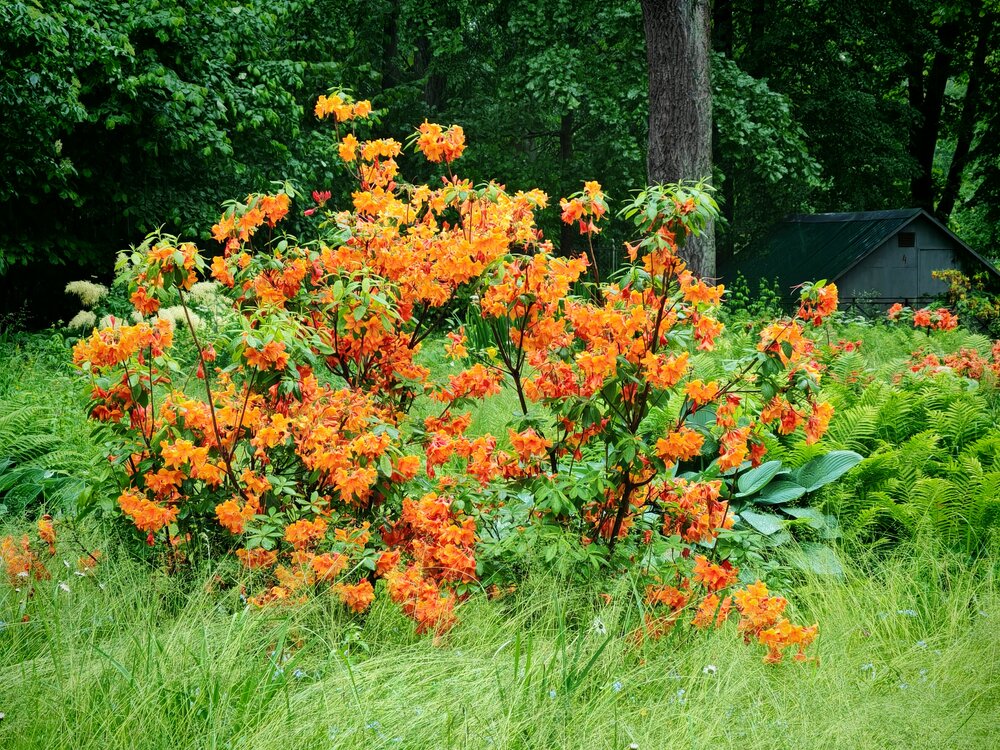 Photograph by Ольга Кузнецова