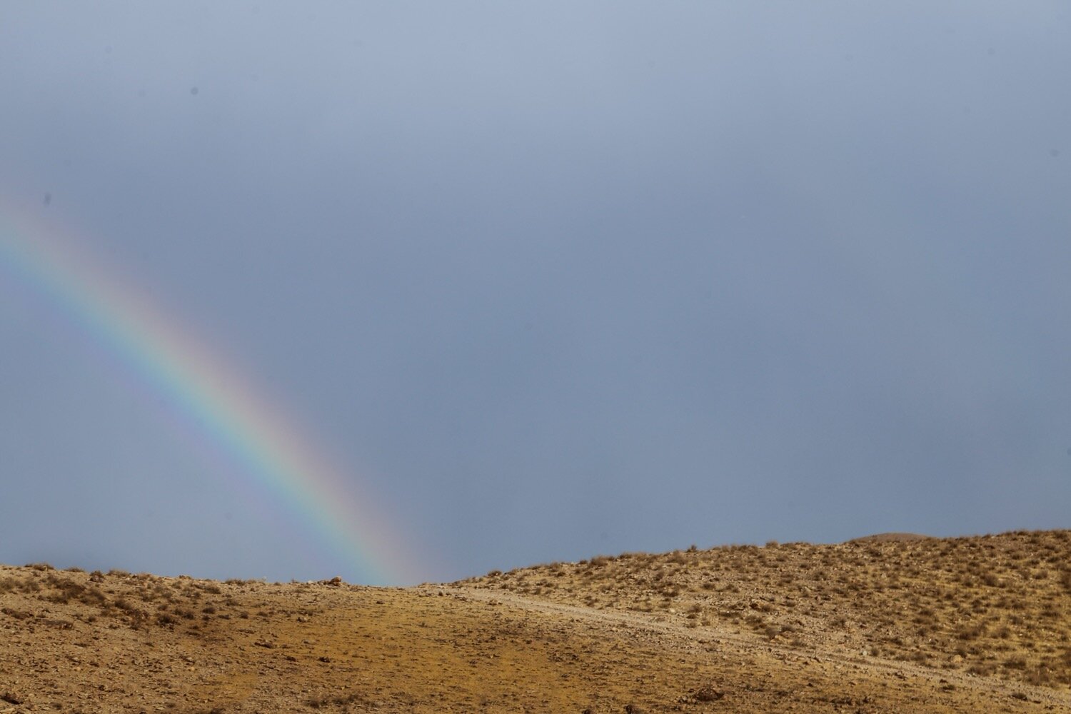 Photo #13978390