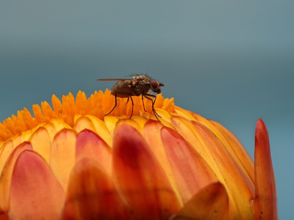 Photograph by Alexandr Gorelenkov