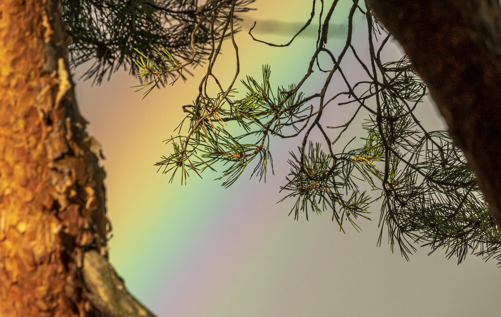 Photograph by Юлия Куликова
