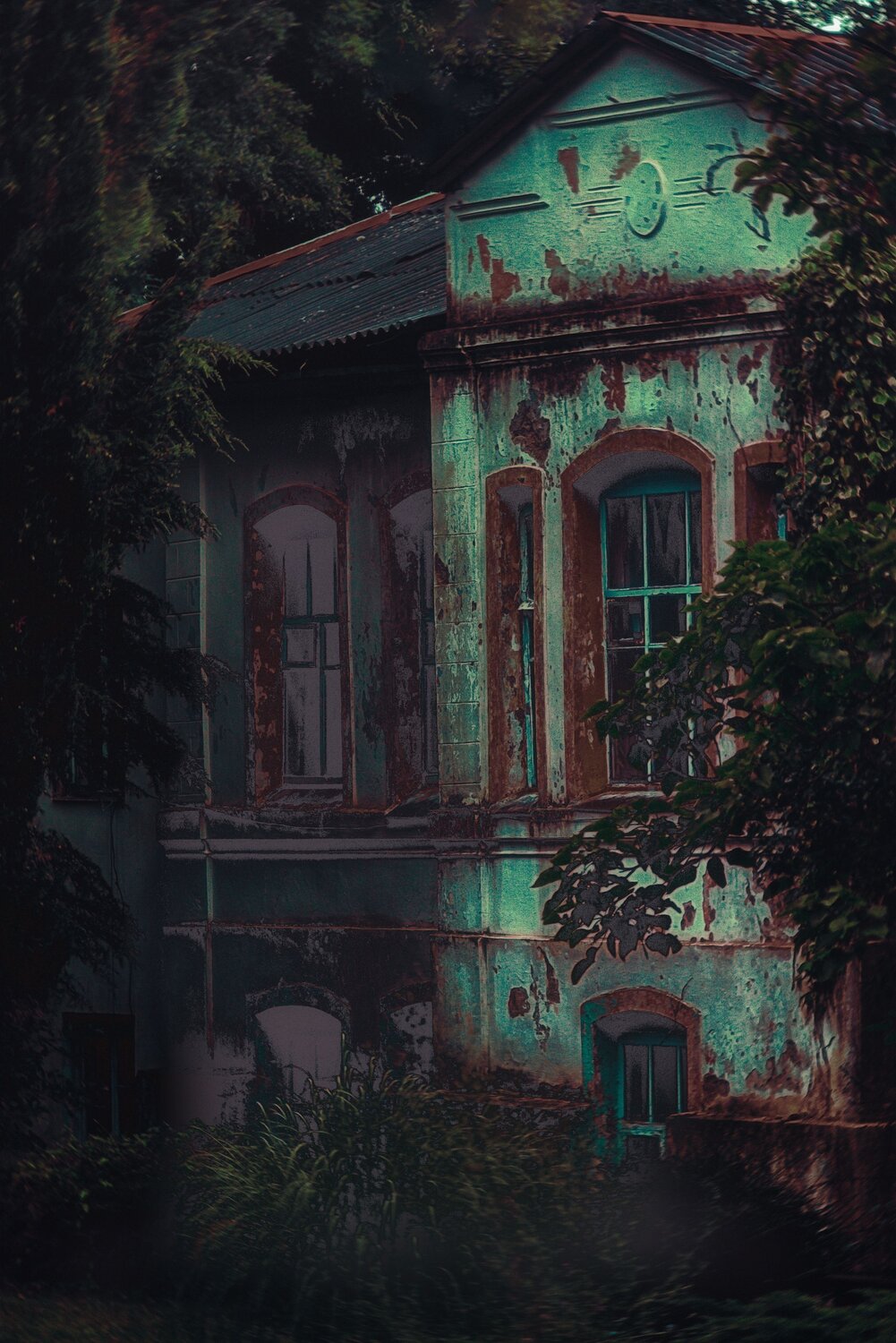 Photo #13978442