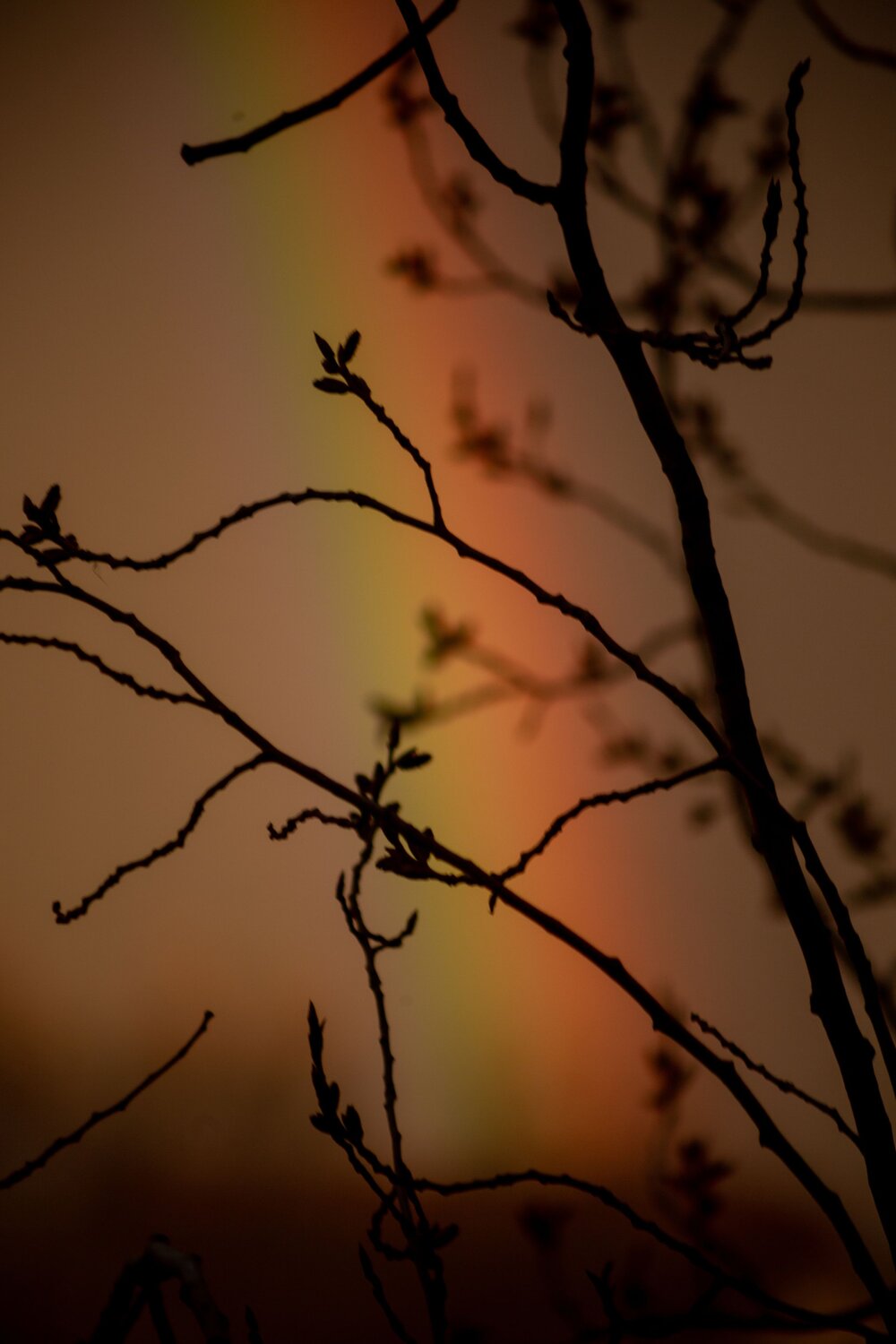 Photo #13978518