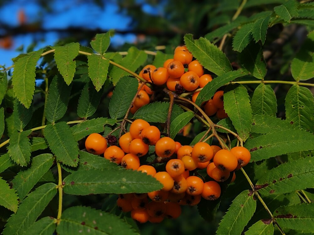 Photograph by Ольга Кузнецова