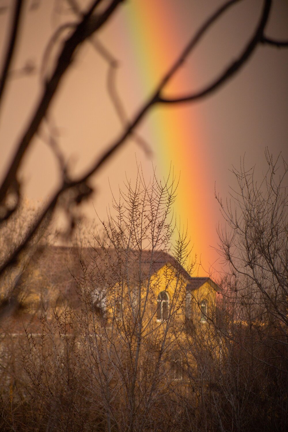 Photo #13978534