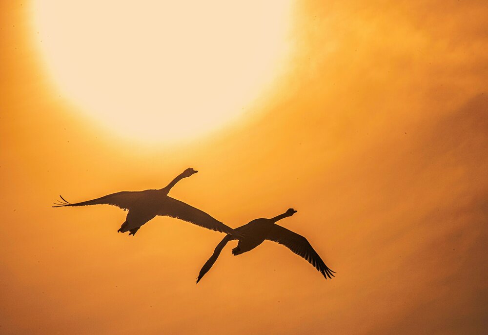 Photograph by Алексей Сиваков