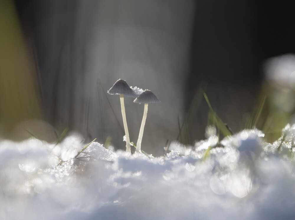 Photograph by Андрей Киселёв