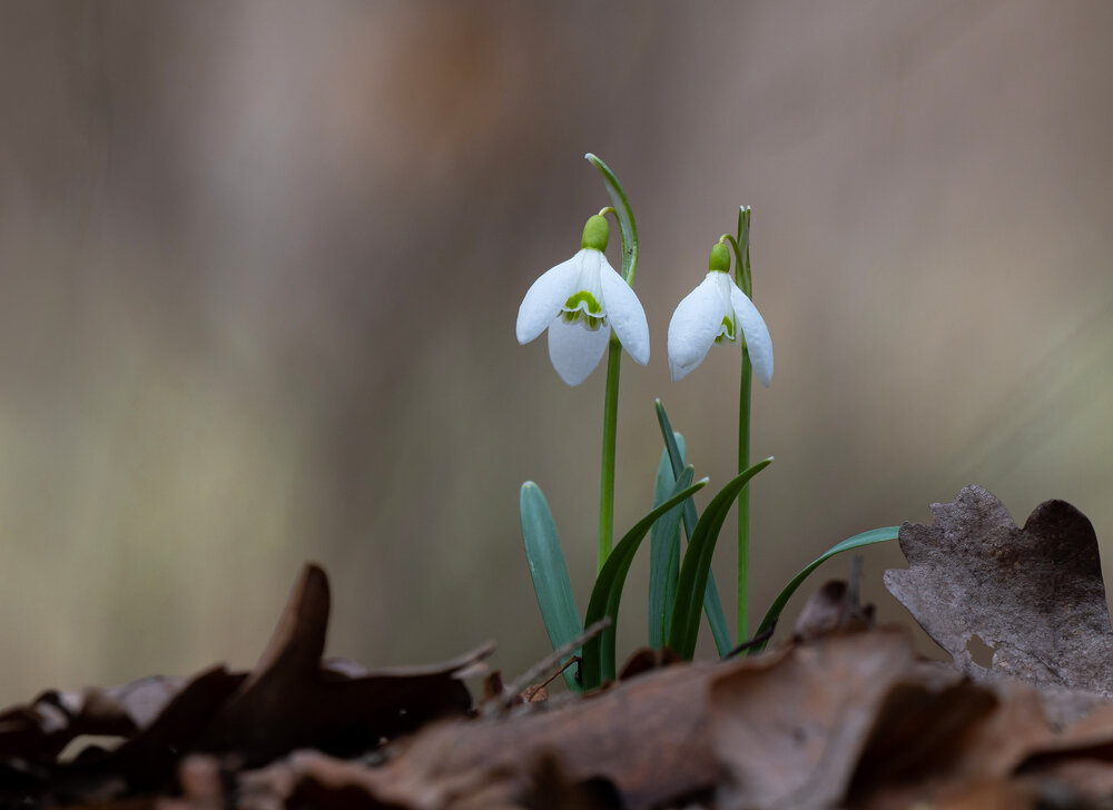 Photograph by Андрей Киселёв