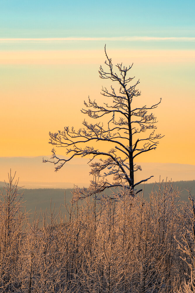Photograph by Наталия Сметнёва
