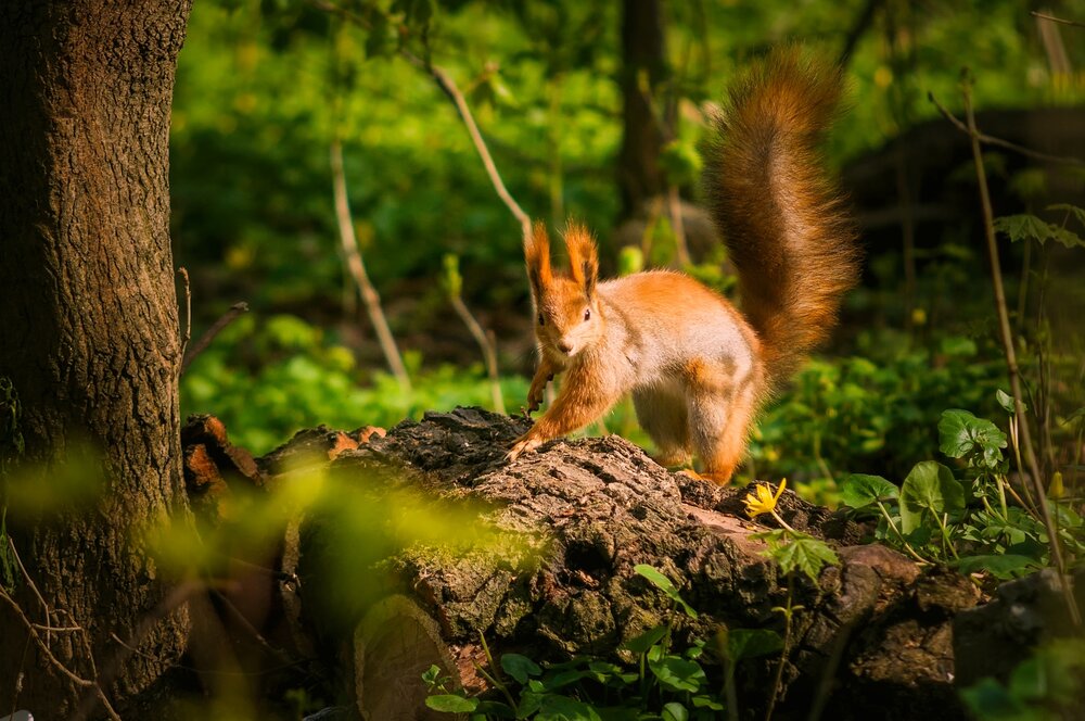 Photograph by Юрий Яковлевич
