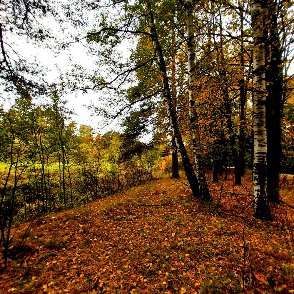 Photograph by Олеся Матвеева