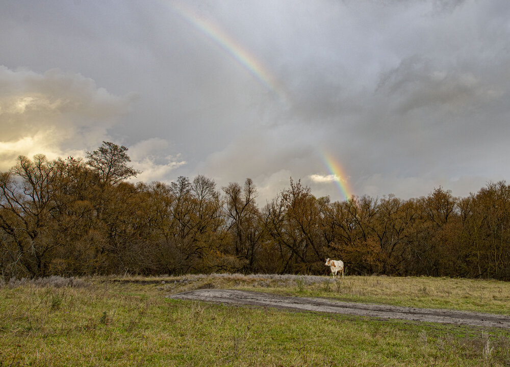 Photograph by Алексей Сиваков