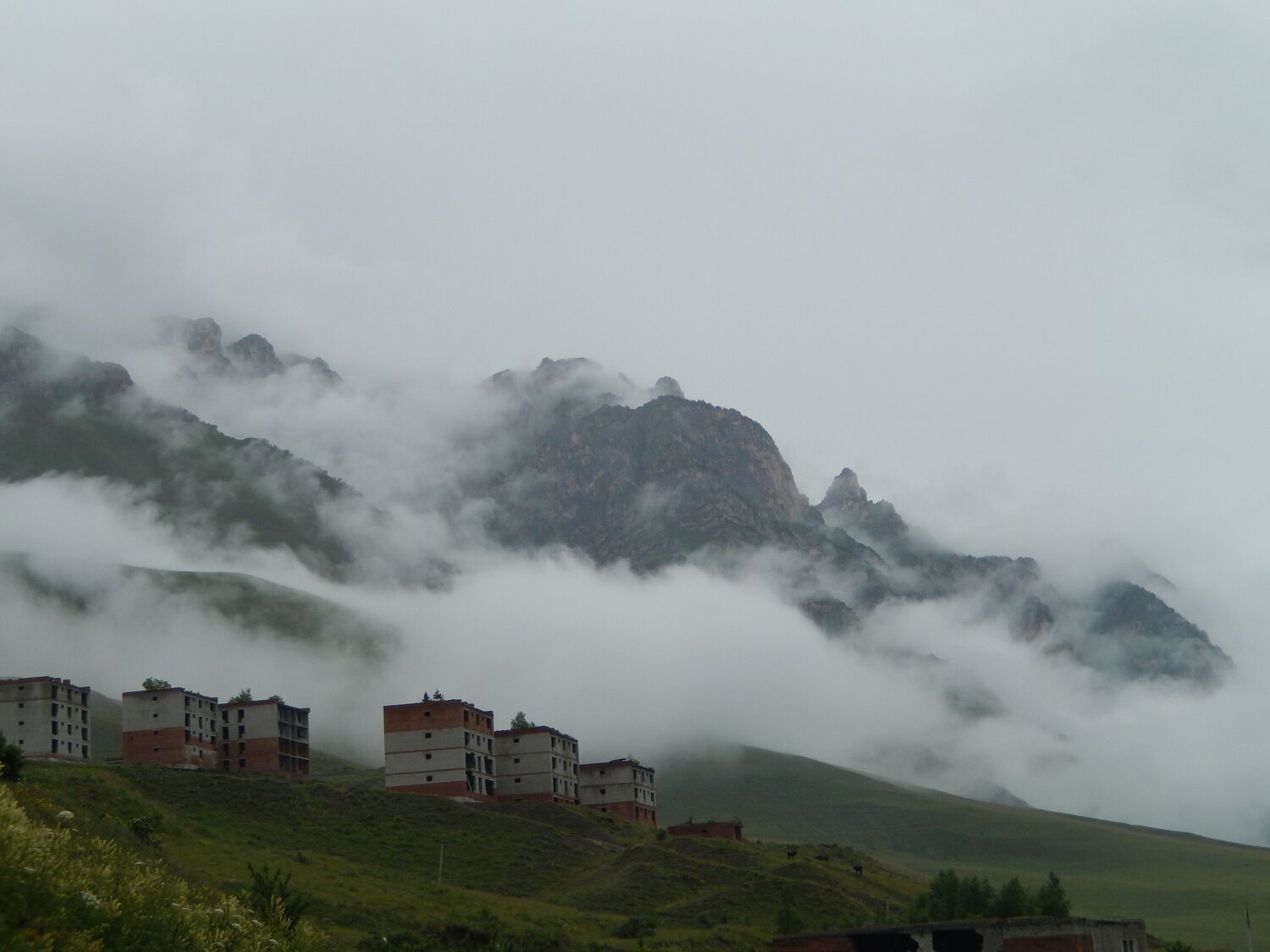 Photo #13978898