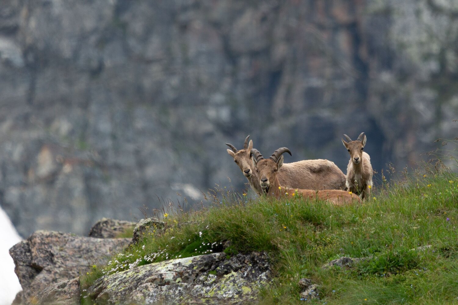 Photo #13979028