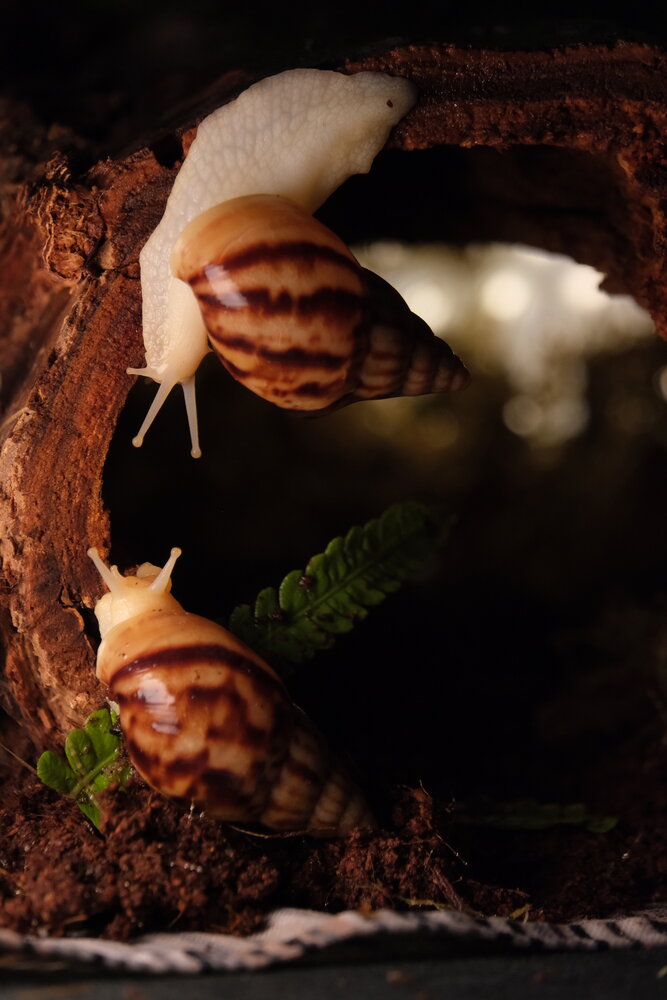 Photograph by Яна Истоцкая