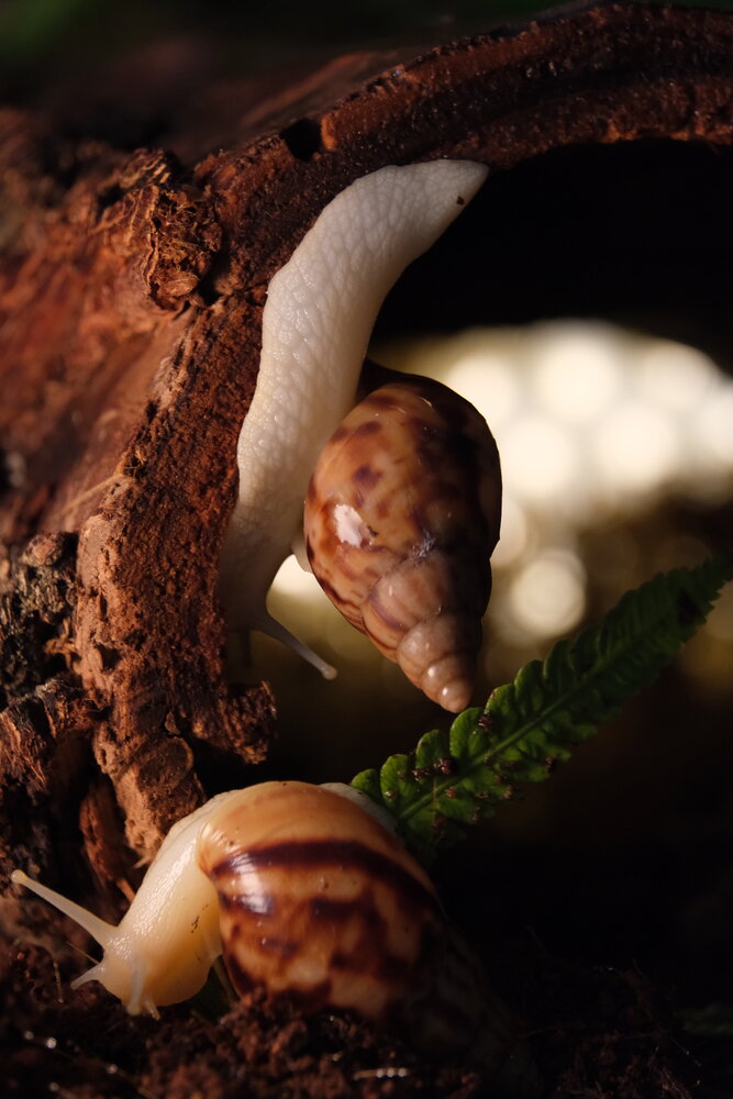 Photograph by Яна Истоцкая
