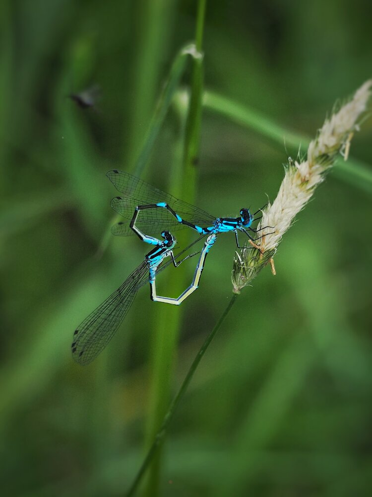 Photograph by Елена Синицына