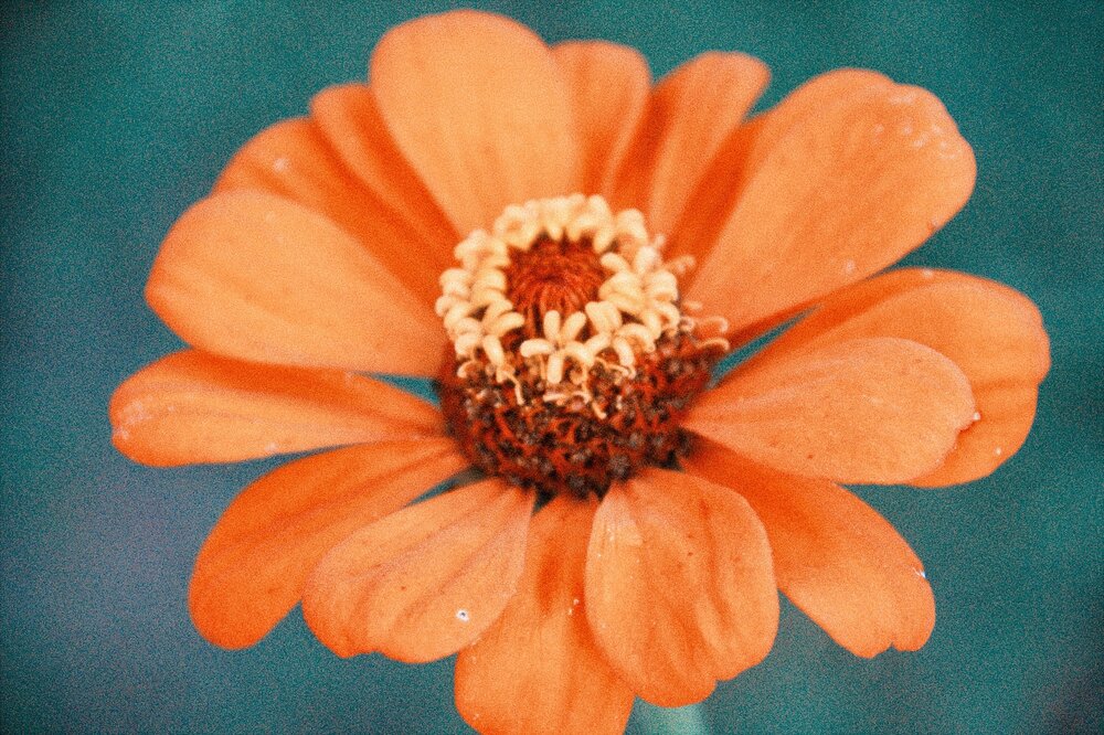 Photograph by Иван Чирков