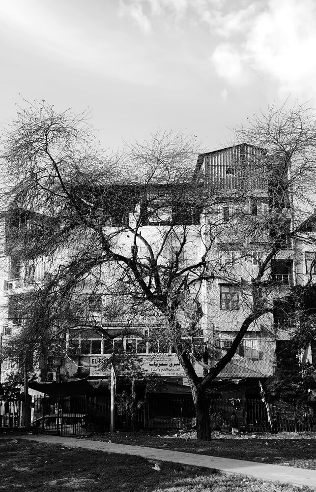 Photograph by G GOVIL