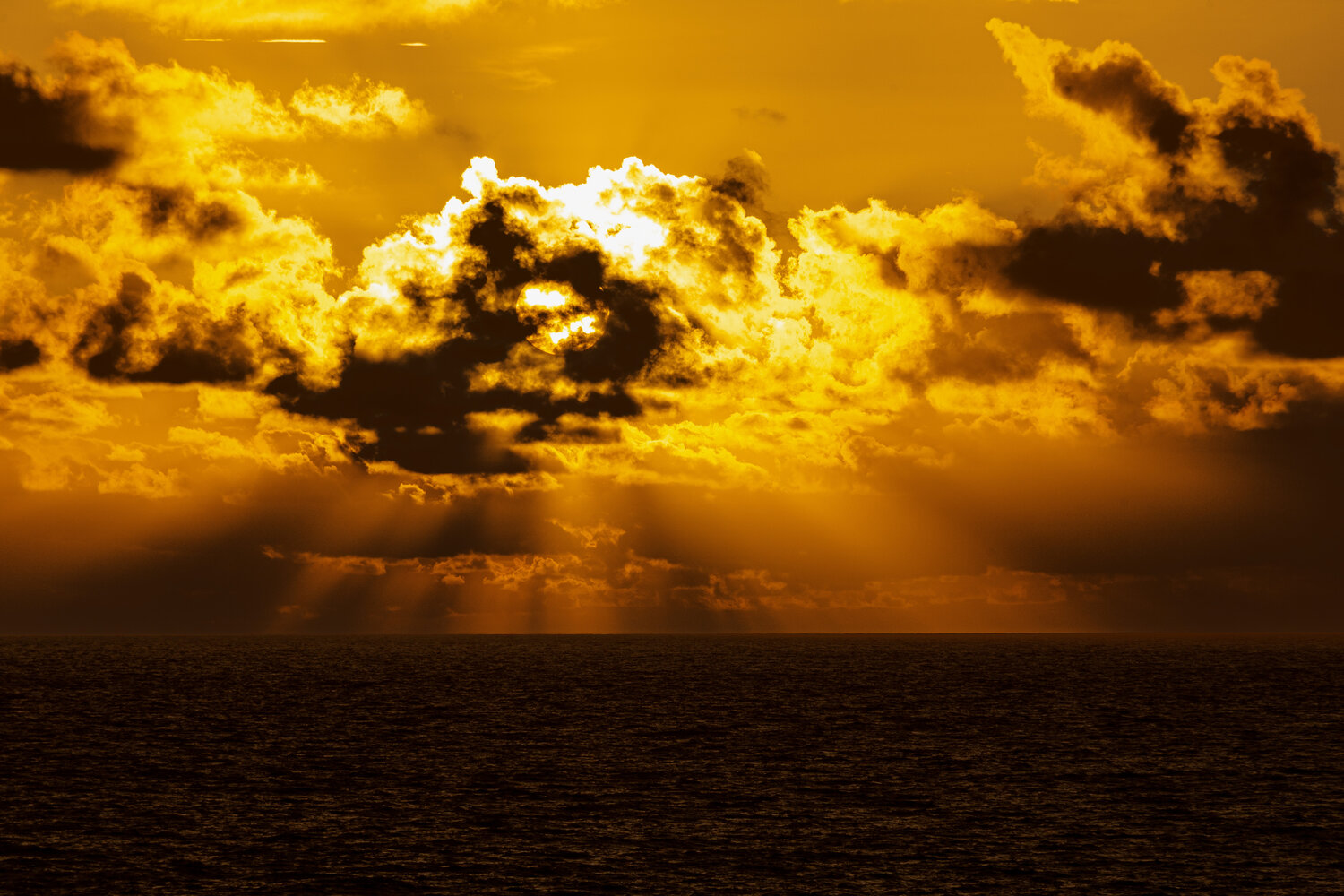 Photo #13979445