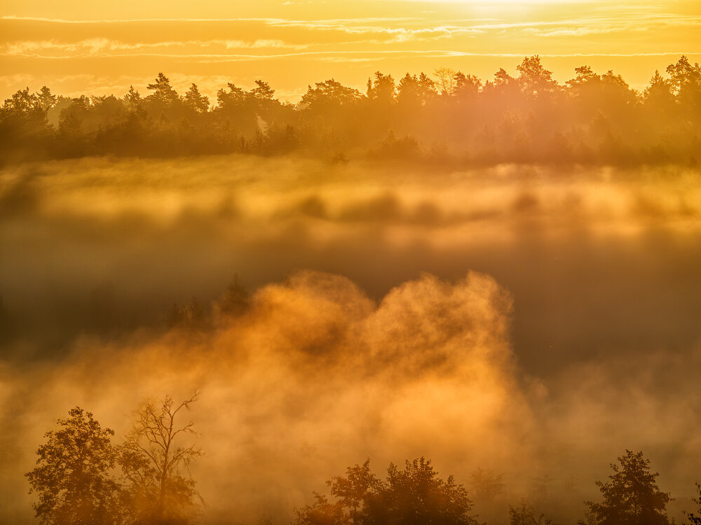 Photograph by Владимир Перепечаев