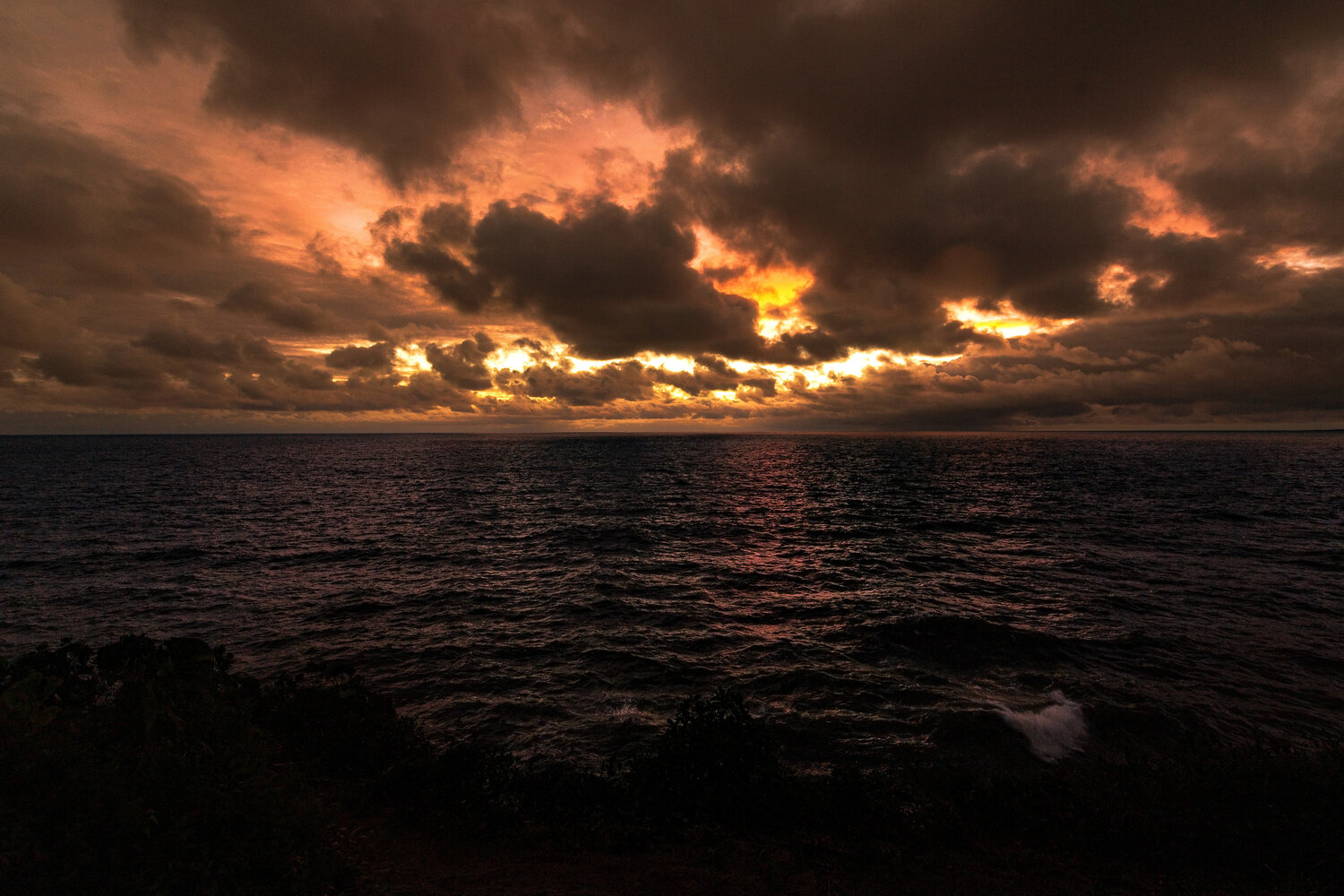 Photo #13979462
