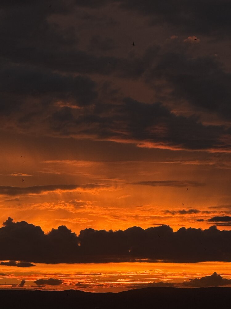 Photograph by Анастасия Самойленко