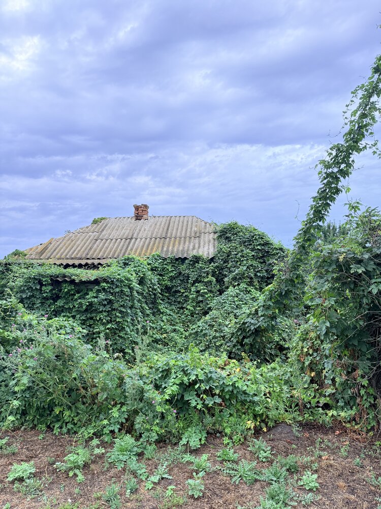 Photograph by Татьяна