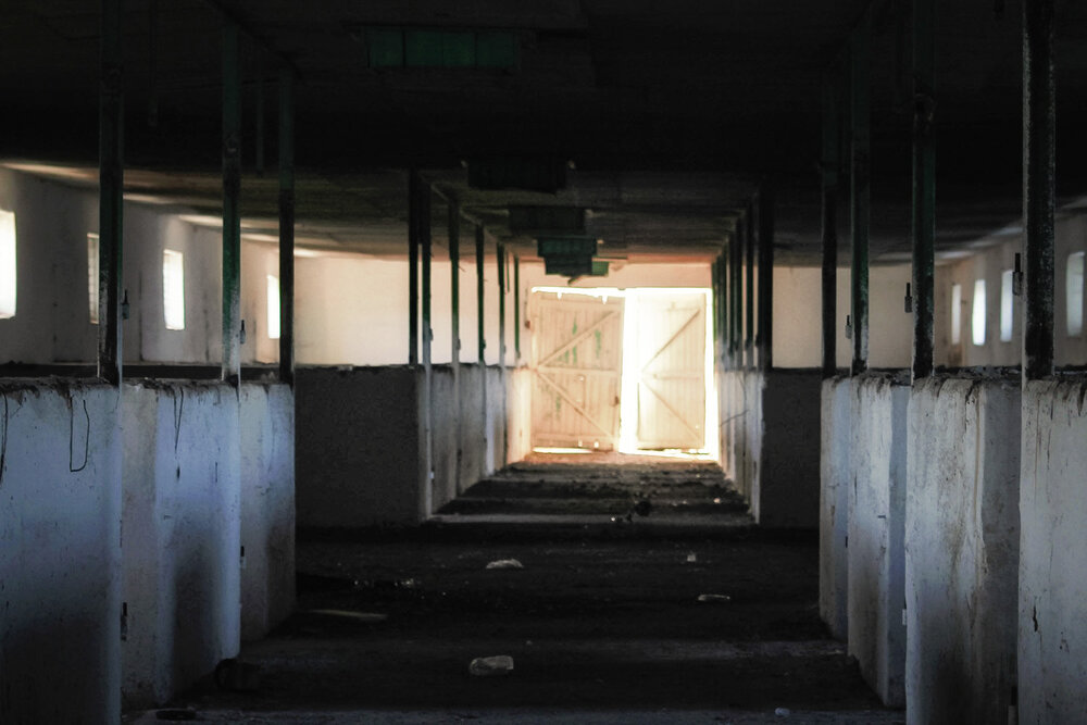 Photograph by Ольга Сельницына