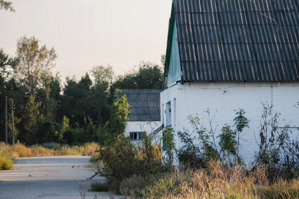 Photograph by Ольга Сельницына