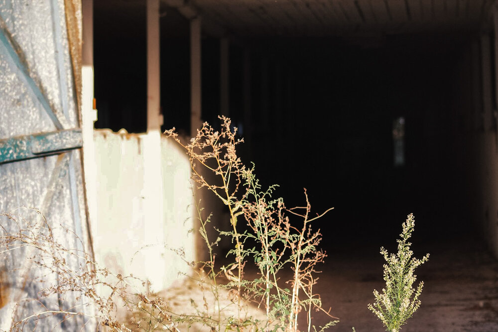 Photograph by Ольга Сельницына