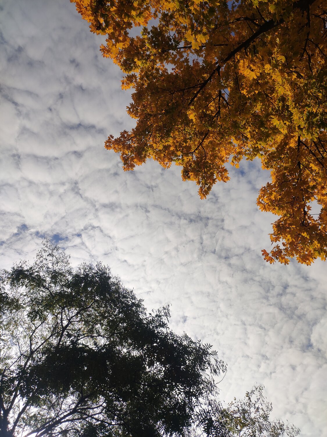 Photo #13979624