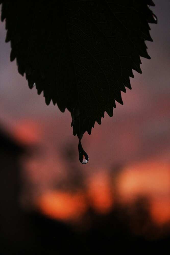 Photograph by Анна Захарчук