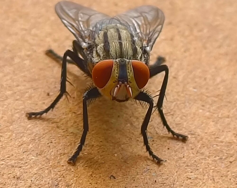 Photograph by Sruthy Kathula