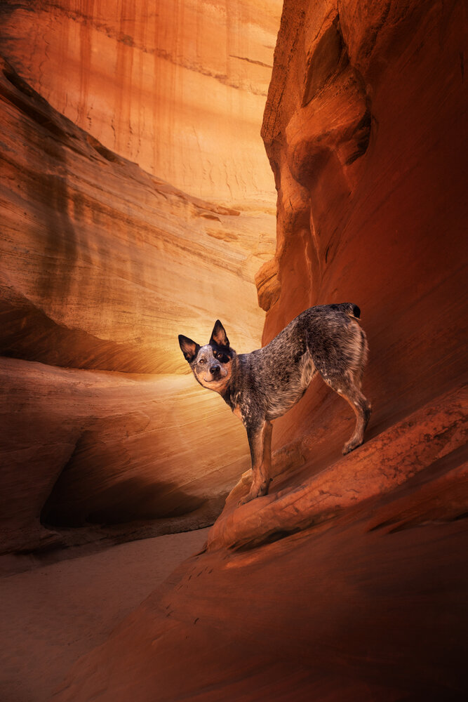 Antelope Canyon Jango