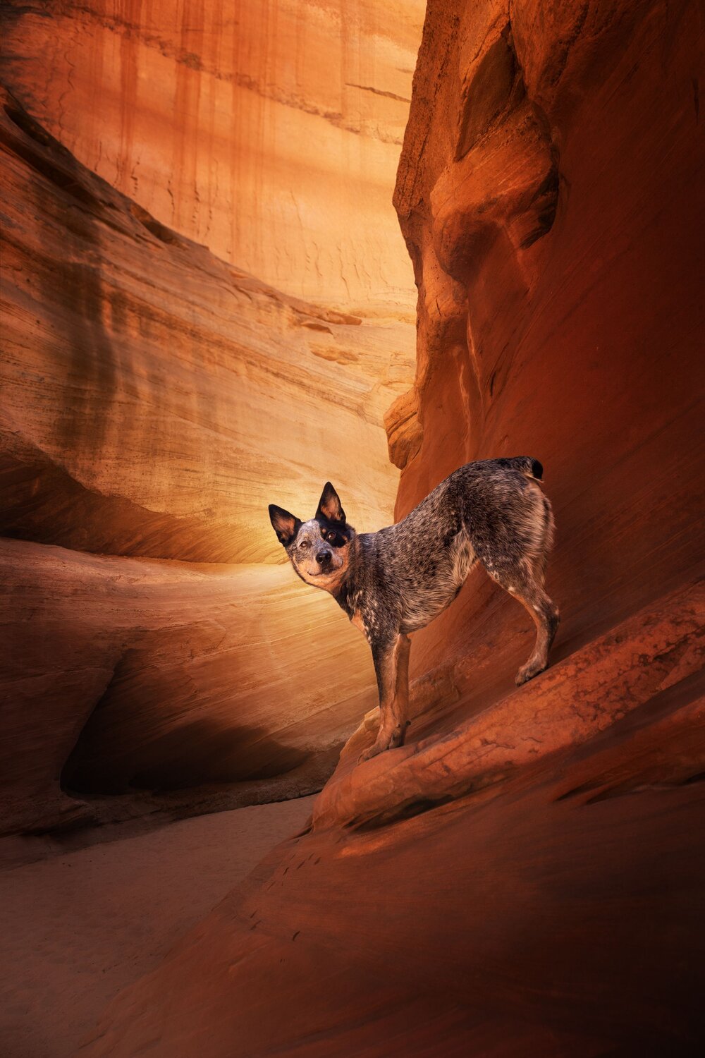 Antelope Canyon Jango