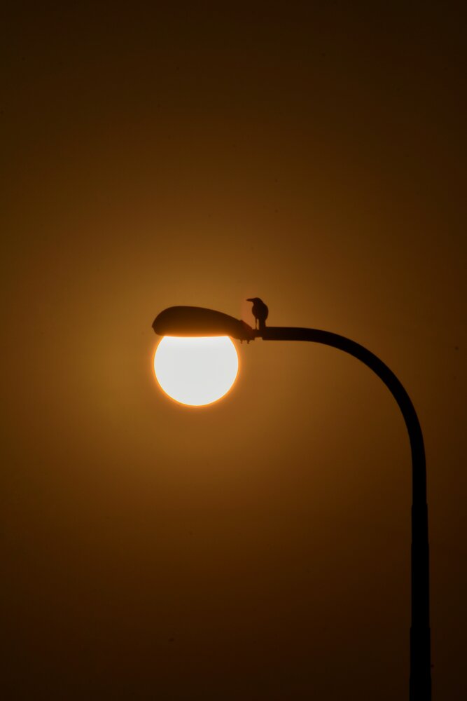 Photograph by Joy Karmakar