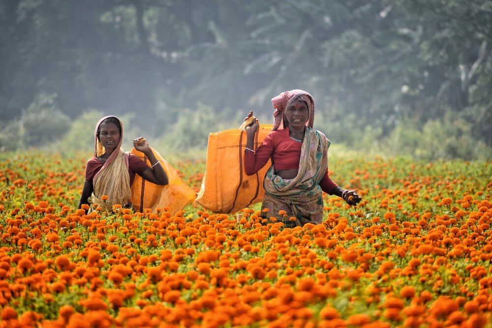 Photograph by Joy Karmakar